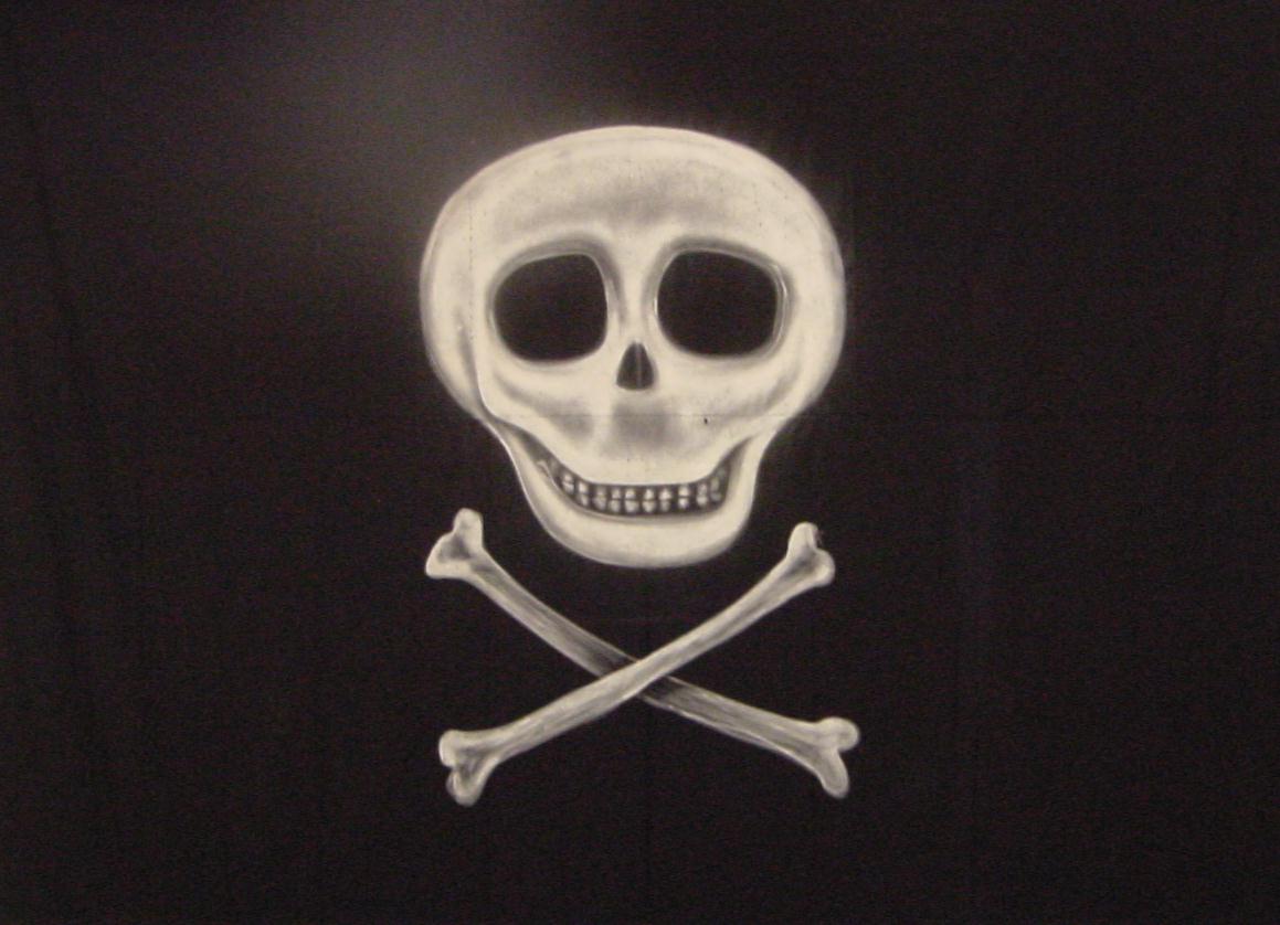 Peter Pan Pirate Flag