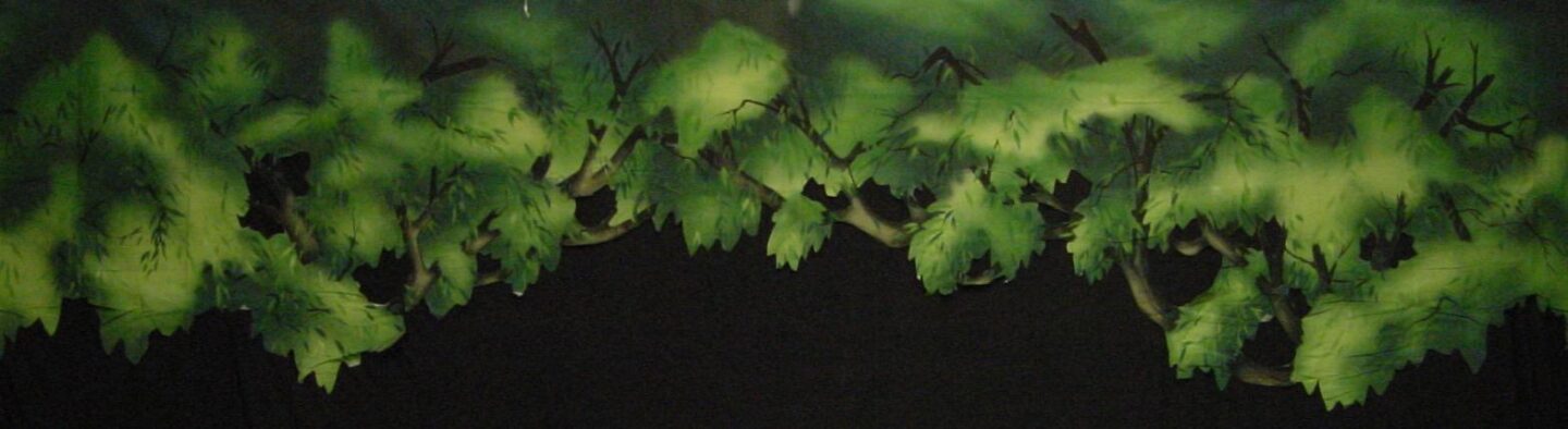 Peter Pan Forest Border