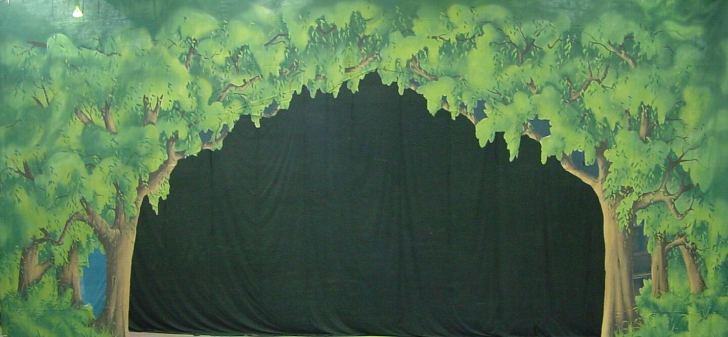 Cinderella Tree Cut