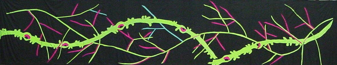 Dick Whittington UV Border