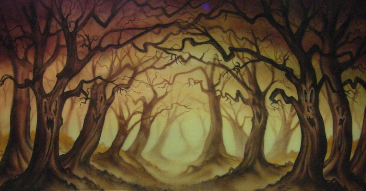 Snow White Forest