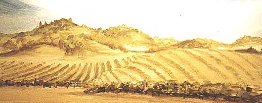 Upson Farm Cloth