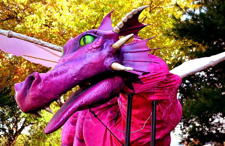 Shrek Dragon