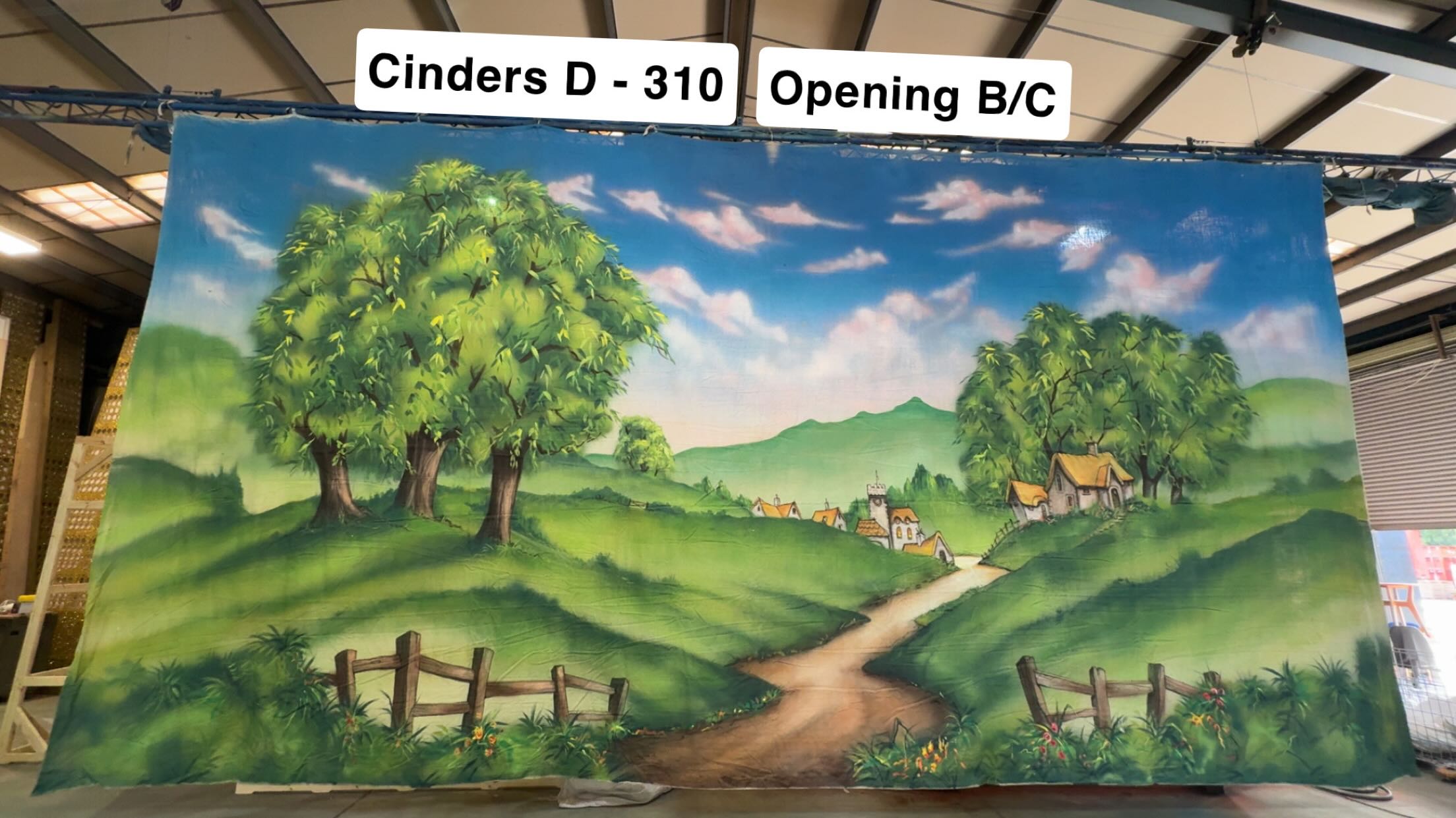Cinderella Set D